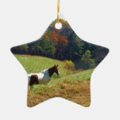 Witte en bruine paarden, Autumn vijver Keramisch Ornament (Voorkant)