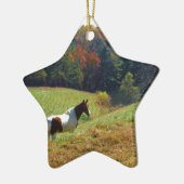 Witte en bruine paarden, Autumn vijver Keramisch Ornament (Links)