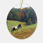 Witte en bruine paarden, Autumn vijver Keramisch Ornament (Links)