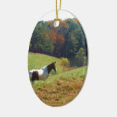 Witte en bruine paarden, Autumn vijver Keramisch Ornament (Links)