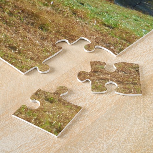 Witte en bruine paarden, Autumn vijver Legpuzzel (Zijkant)