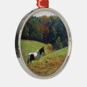 Witte en bruine paarden, Autumn vijver Metalen Ornament (Rechts)