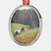 Witte en bruine paarden, Autumn vijver Metalen Ornament (Links)
