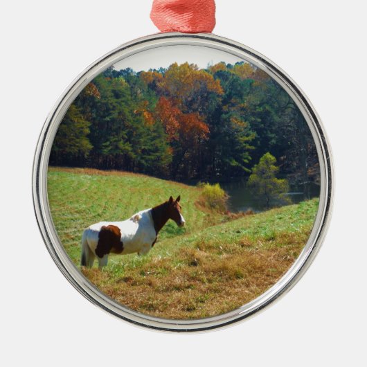Witte en bruine paarden, Autumn vijver Metalen Ornament (Voorkant)