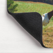 Witte en bruine paarden, Autumn vijver Muismat (Hoek)