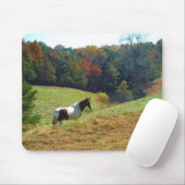 Witte en bruine paarden, Autumn vijver Muismat (Met muis)