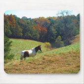 Witte en bruine paarden, Autumn vijver Muismat (Voorkant)