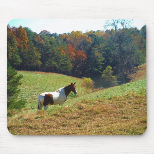 Witte en bruine paarden, Autumn vijver Muismat (Voorkant)