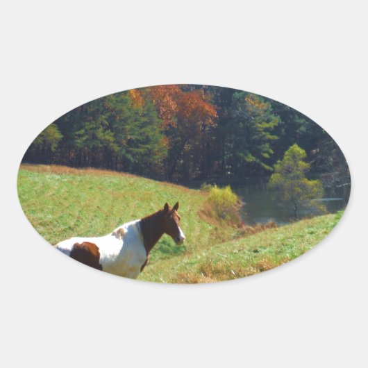 Witte en bruine paarden, Autumn vijver Ovale Sticker (Voorkant)