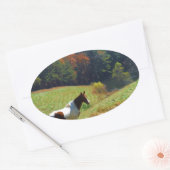 Witte en bruine paarden, Autumn vijver Ovale Sticker (Envelop)