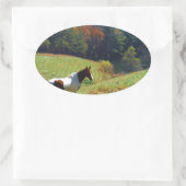 Witte en bruine paarden, Autumn vijver Ovale Sticker (Tas)