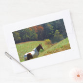 Witte en bruine paarden, Autumn vijver Rechthoekige Sticker (Envelop)