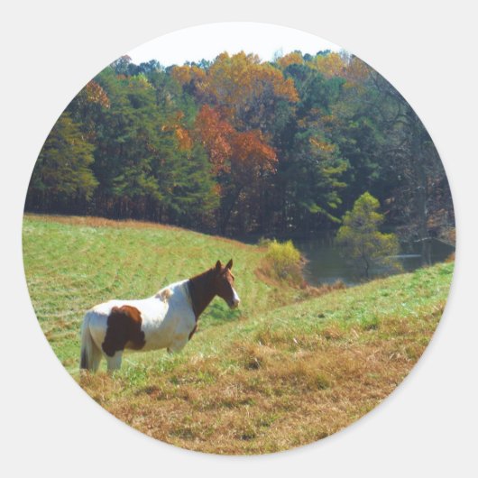 Witte en bruine paarden, Autumn vijver Ronde Sticker (Voorkant)