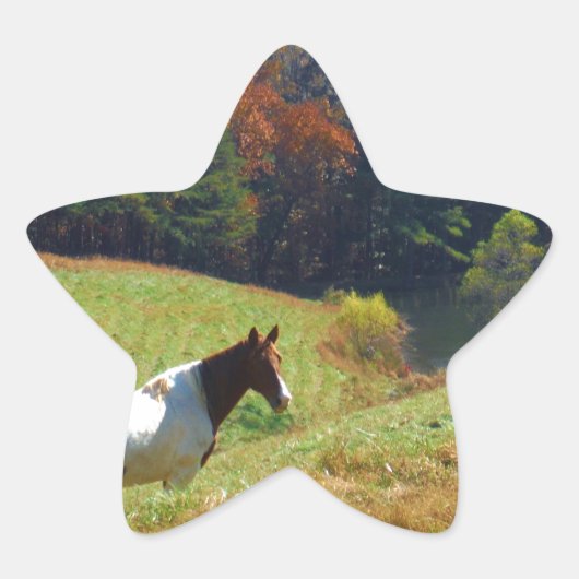 Witte en bruine paarden, Autumn vijver Ster Sticker (Voorkant)