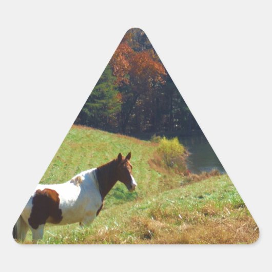 Witte en bruine paarden, Autumn vijver Sticker (Voorkant)