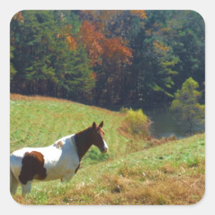 Witte en bruine paarden, Autumn vijver Vierkante Sticker