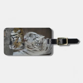 Witte en bruine tijgers die rusten bagagelabel (Voorkant horizontaal)