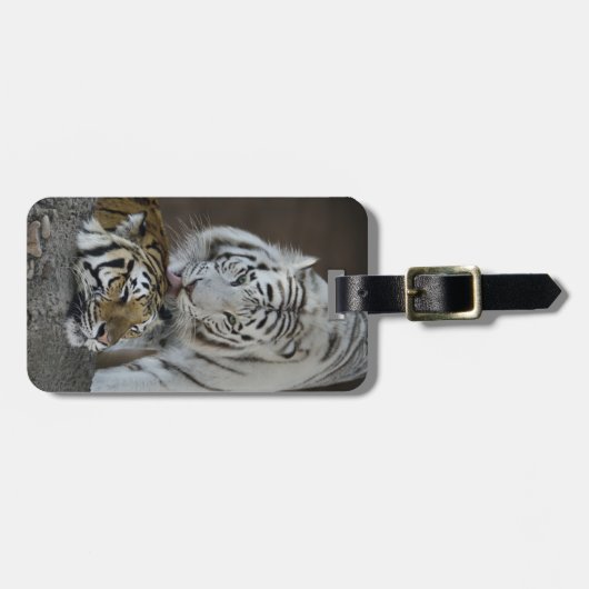 Witte en bruine tijgers die rusten bagagelabel (Voorkant horizontaal)