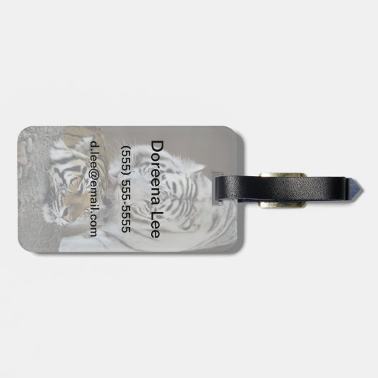 Witte en bruine tijgers die rusten bagagelabel (Achterkant horizontaal)