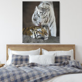 Witte en bruine tijgers die rusten canvas afdruk (Insitu (Slaapkamer))