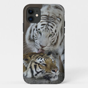 Witte en bruine tijgers die rusten Case-Mate iPhone case