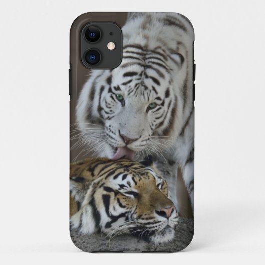 Witte en bruine tijgers die rusten Case-Mate iPhone case (Achterkant)
