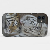 Witte en bruine tijgers die rusten Case-Mate iPhone case (Achterkant (horizontaal))