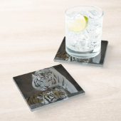 Witte en bruine tijgers die rusten glazen onderzetter (Schuin)