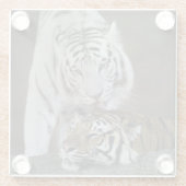 Witte en bruine tijgers die rusten glazen onderzetter (Achterkant)