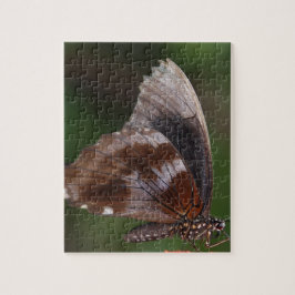 Witte en bruine vlinder op rode bloem legpuzzel
