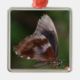 Witte en bruine vlinder op rode bloem metalen ornament