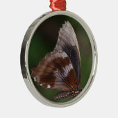 Witte en bruine vlinder op rode ventilator metalen ornament (Rechts)