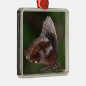 Witte en bruine vlinder op rode ventilator metalen ornament (Rechts)