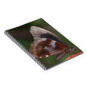 Witte en bruine vlinder op rode ventilator notitieboek (Rechterzijde)