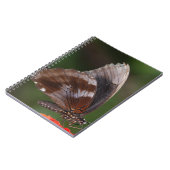 Witte en bruine vlinder op rode ventilator notitieboek (Linkerzijde)