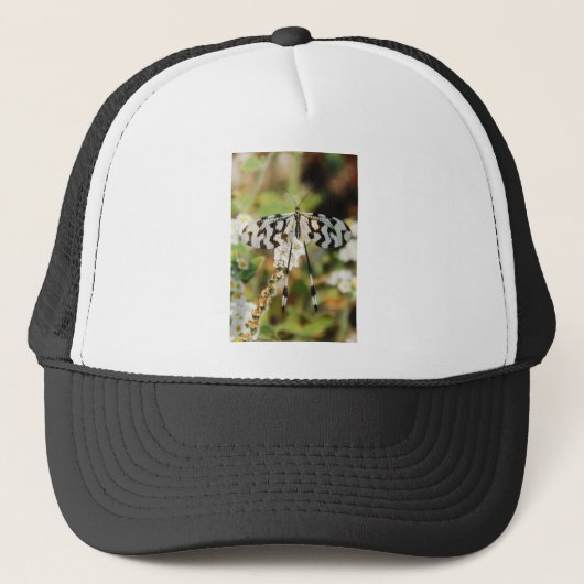 Witte en chocolade bruine staartvlinder trucker pet (Voorkant)