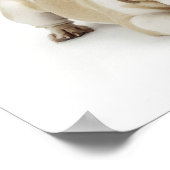 Witte en geelbruine hond poster (Hoek)