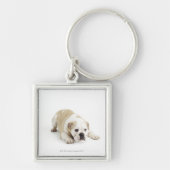 Witte en geelbruine hond sleutelhanger (Voorkant)