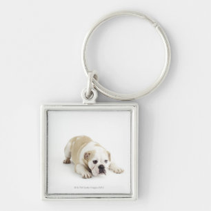 Witte en geelbruine hond sleutelhanger
