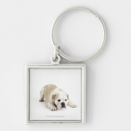 Witte en geelbruine hond sleutelhanger (Voorkant)