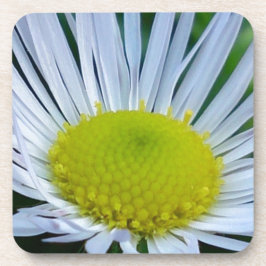 Witte en gele bloem bier onderzetter