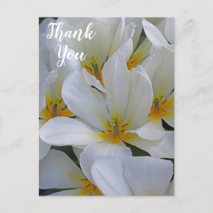 Witte en Gele Bloemen Dank Je Briefkaart