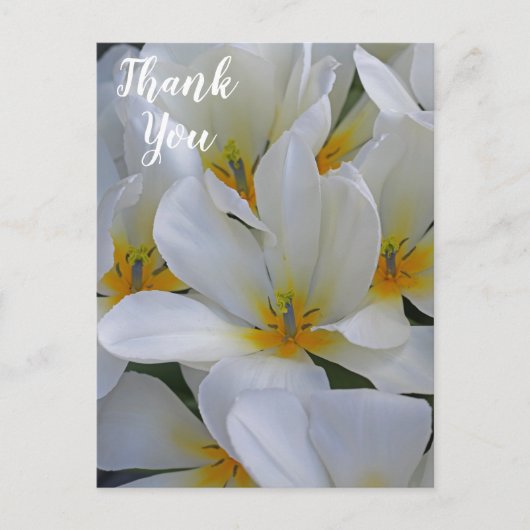 Witte en Gele Bloemen Dank Je Briefkaart (Voorkant)