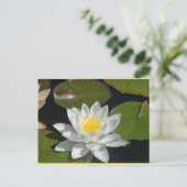 Witte en gele briefkaart (Staand voorkant)