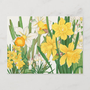 Witte en gele Daffodil Flowers Garden Delight Briefkaart