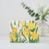 Witte en gele Daffodil Flowers Garden Delight Briefkaart (Staand voorkant)