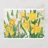 Witte en gele Daffodil Flowers Garden Delight Briefkaart (Achterkant)