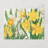 Witte en gele Daffodil Flowers Garden Delight Briefkaart (Voorkant)