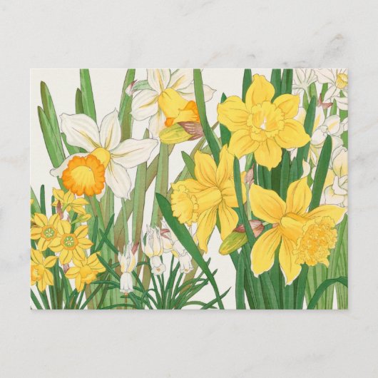 Witte en gele Daffodil Flowers Garden Delight Briefkaart (Voorkant)