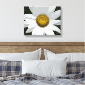 Witte en gele Daisy Flower Canvas Afdruk (Insitu (Slaapkamer))